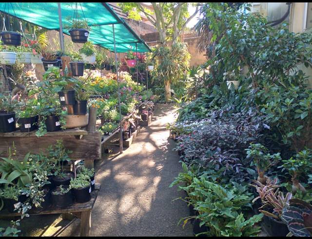 894M² BUSINESS FOR SALE IN BLUFF